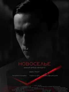 Новоселье